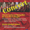 Concert de la Chorale Cantica au temple de Libourne